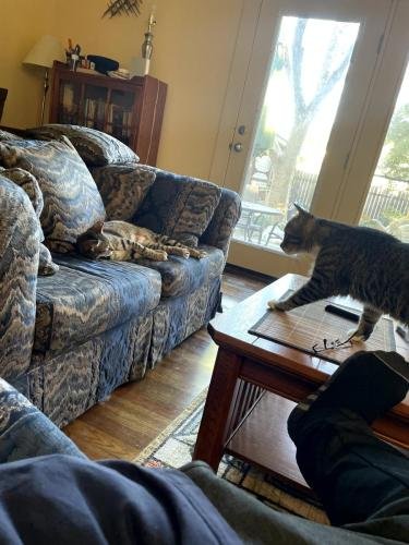 20250202 214505308 iOS