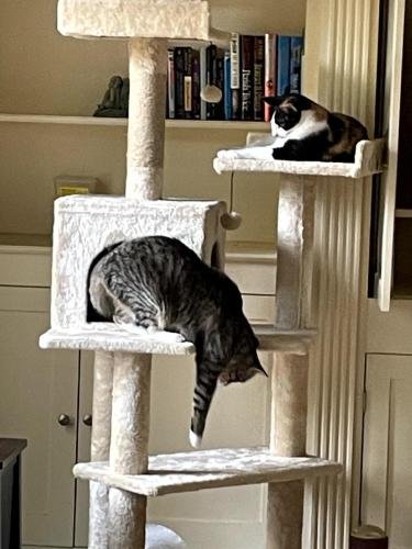 20250204 190943940 iOS