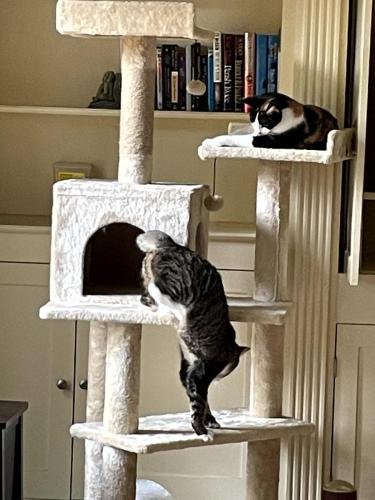 20250204 190945046 iOS