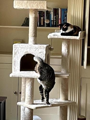 20250204 190946054 iOS