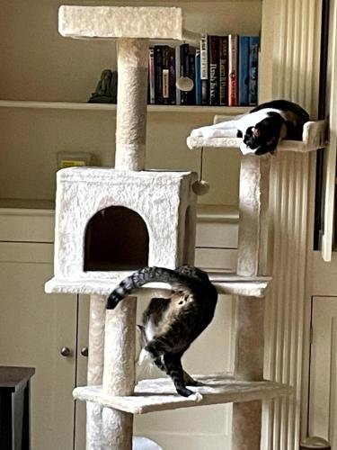 20250204 190947730 iOS