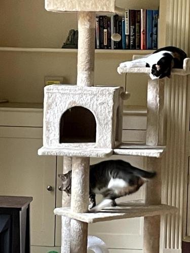 20250204 190948769 iOS